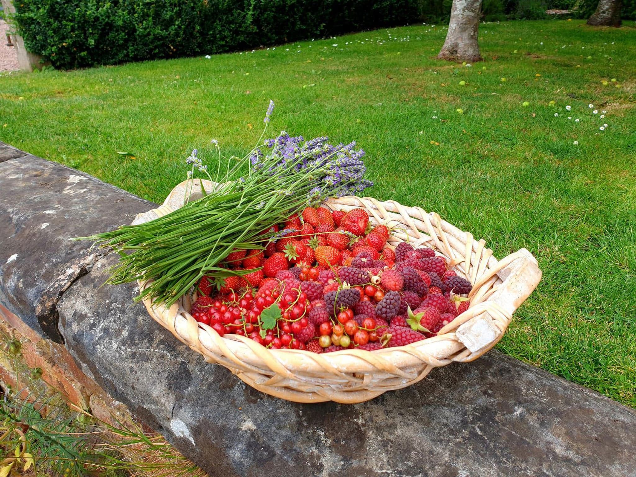 Fruit Bag