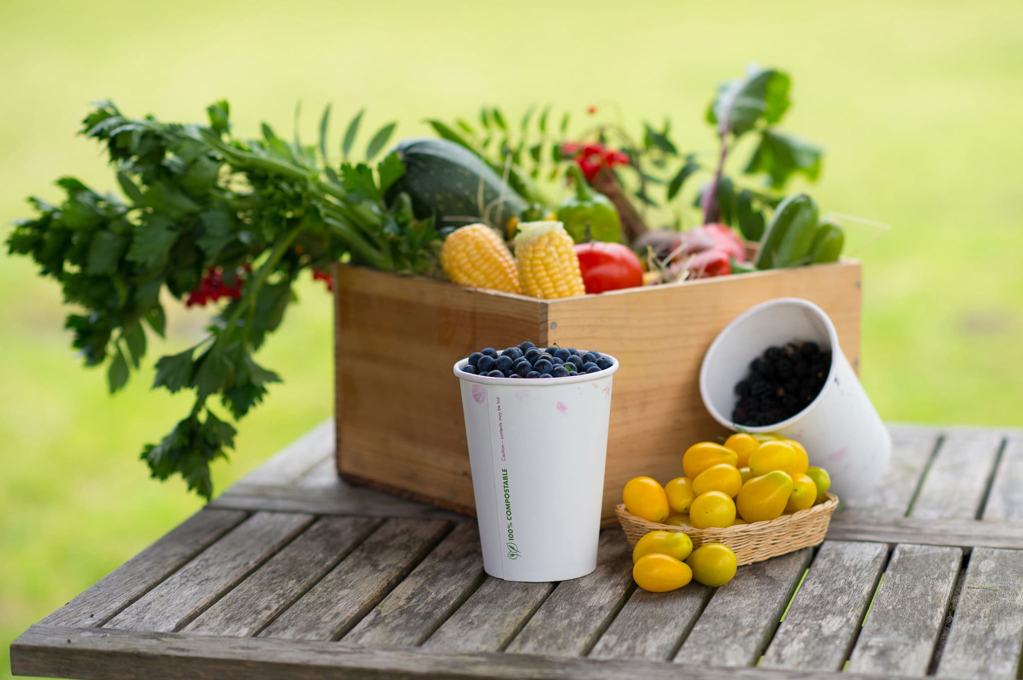 Large Veg Box