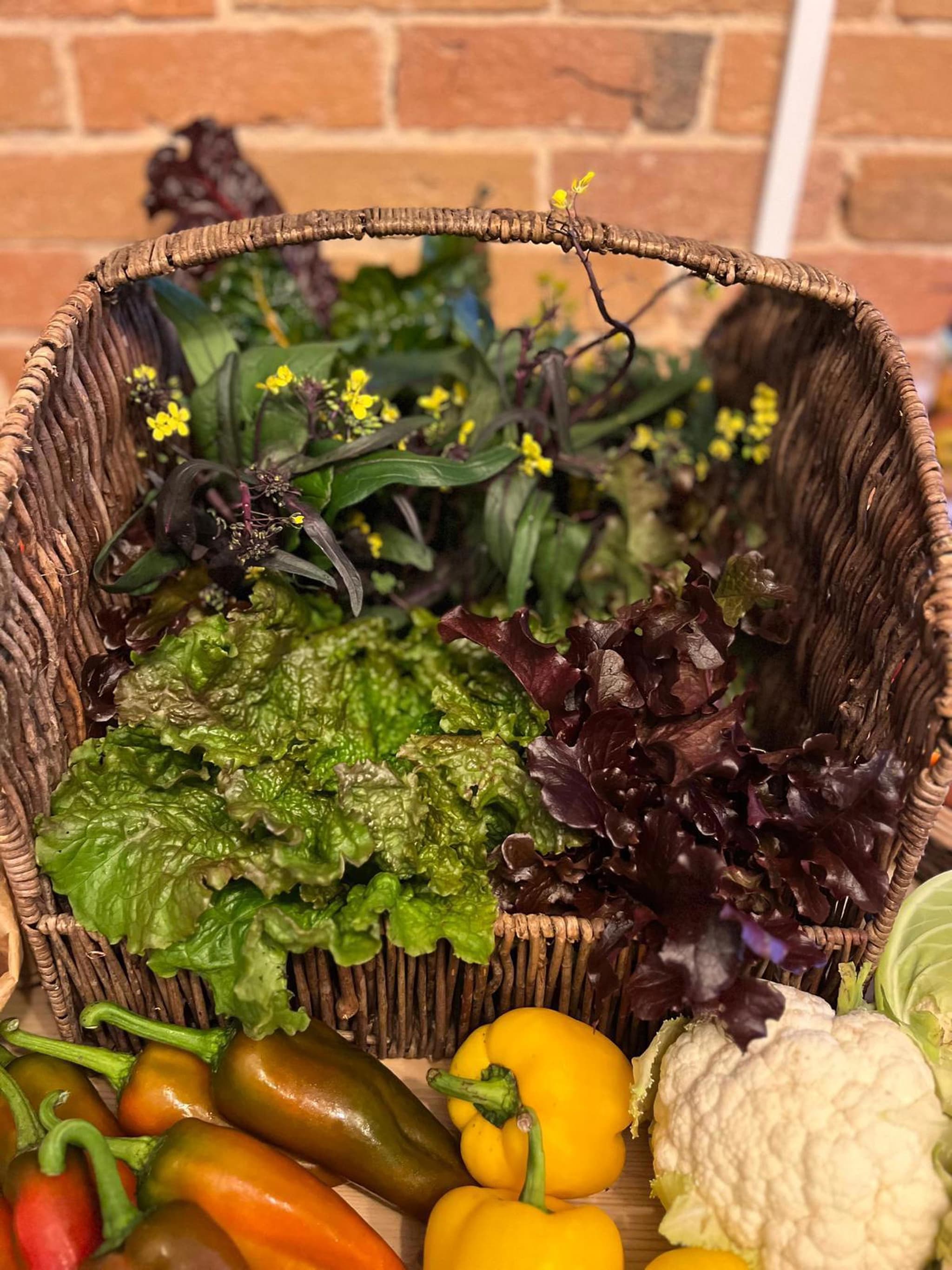 Small Veg Box